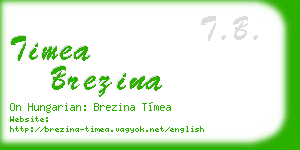 timea brezina business card