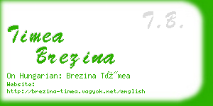 timea brezina business card